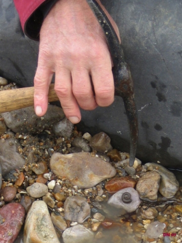 Ammonite, Seatown Dorset