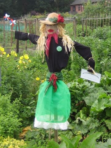 Doris, Sparrow Lane Allotments 2007